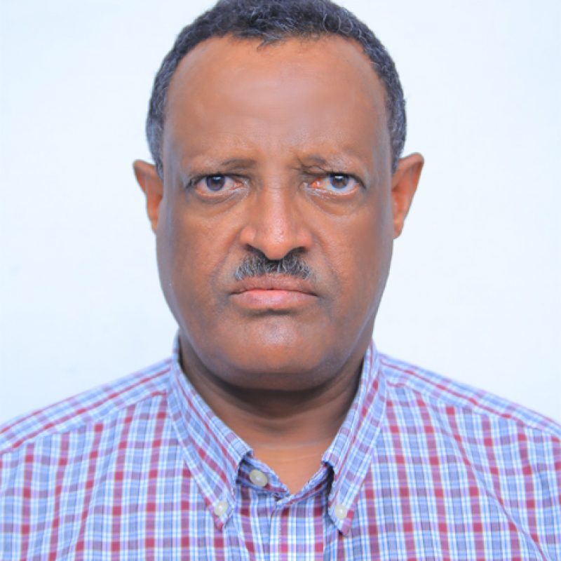 Workneh Demissie Edea Headshot of Workneh Demissie Edea, Regional Cardiovascular Health Program Manager, Oromia at Resolve to Save Lives Ethiopia