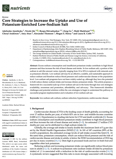 Core Strategies to Increase the Uptake and Use of Potassium-Enriched Low-Sodium Salt
