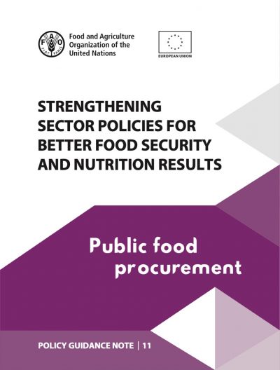 Strengthening sector policies for better food security and nutrition results: Public food procurement (2018)