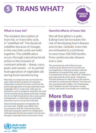 trans what fact sheet